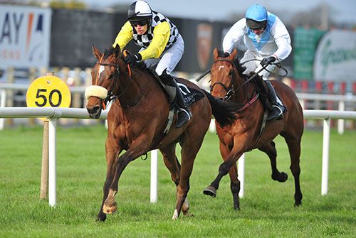 Okotoks is ridden out by Steven Clements