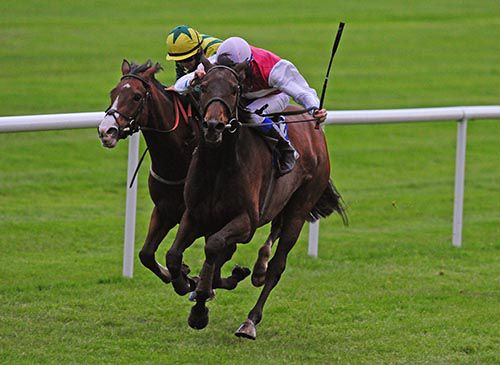 Balkinstown (right) holds off Circe's Island 