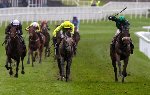 The grey Tac De Boistron