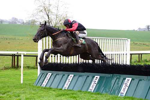 Redclue jumps the last under Danny Mullins
