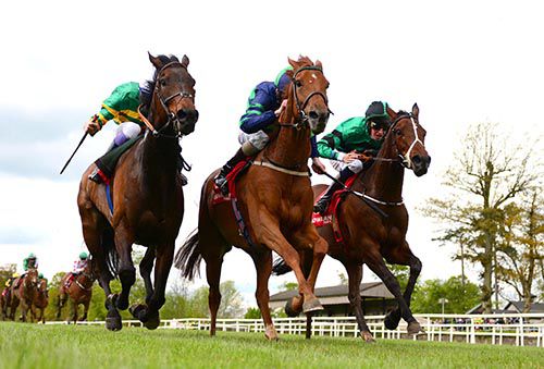 Sr Cartage (centre) just beats Cillian's Return (left) and Takeachanceonme