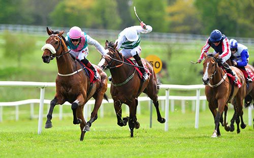 Tuk Tuk and Leigh Roche leads them home
