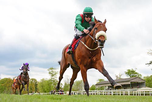 Radanpour and Leigh Roche leave their Gowran rivals for dead