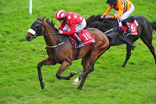 Magic Kitten and Leigh Roche beats Pat Harkin and Colm O'Donoghue