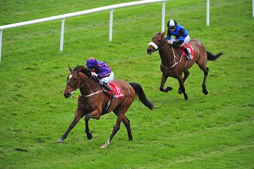 Wicklow Brave and David Casey come clear from Jennies Jewel and Ronan Whelan