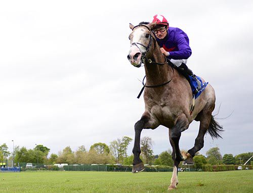 Success Days and regular partner Shane Foley