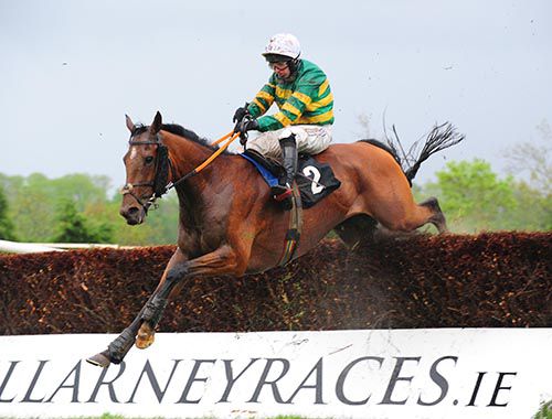 Baby Whizz and Slippers Madden take the spoils in Killarney