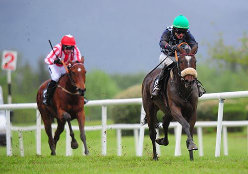 Ballinderry Moth wins Killarney's bumper