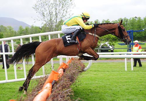 Miley Shah clears on hurdle on his way to victory under Mikey Fogarty