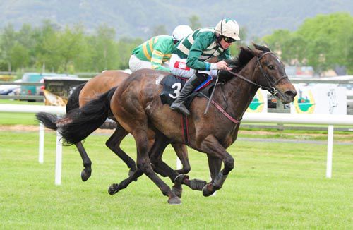 Star Counsel hits the front under Davy Russell