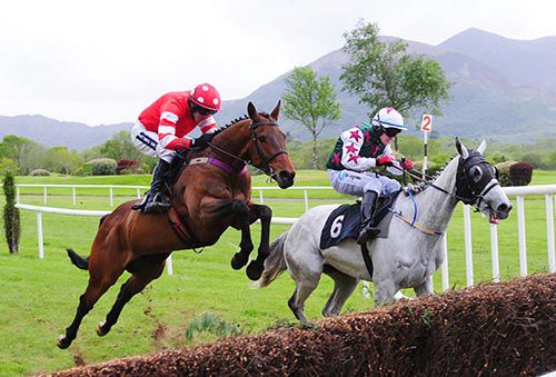 Tennis Cap (nearest) comes to challenge Shesaportrait at the second last  