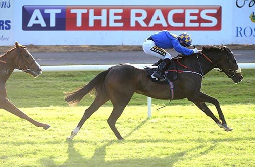 Jackie Ellis in full flight at Killarney