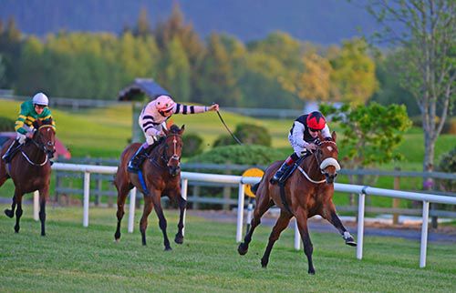 Good Tradition bounds clear in Killarney