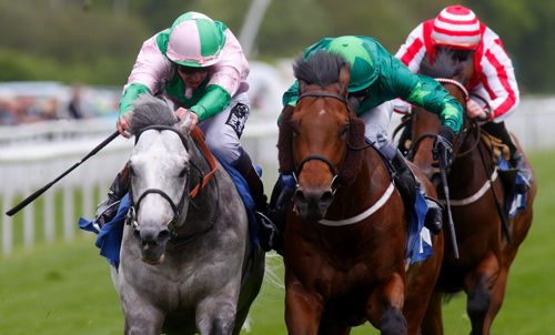 Glass Office (left) just holds off Mattmu