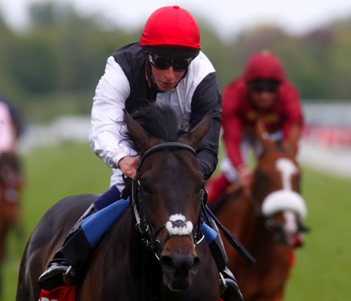 Golden Horn