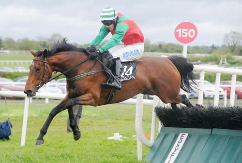 Aunt Alice and Brian Hayes