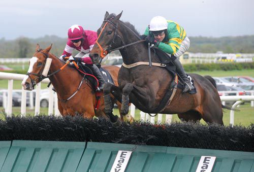 Off The Mark and Jody McGarvey jump on past Credulous