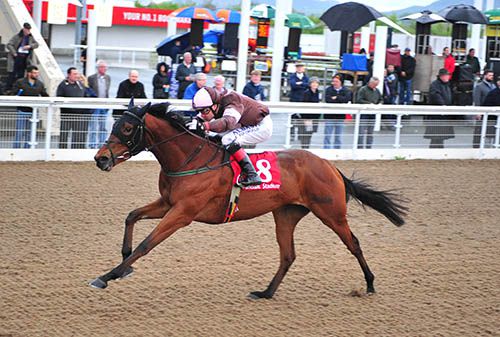 Whitehaven Bay and Pat Smullen come home in style
