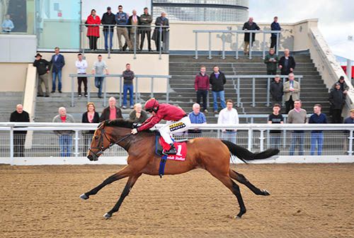 Fog Of War and Colin Keane