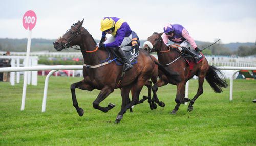 Thumb Stone Blues and Richie Kiely sees off the Kilbeggan opposition
