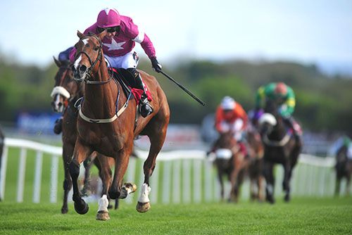 Potters Point comes home in front at Punchestown