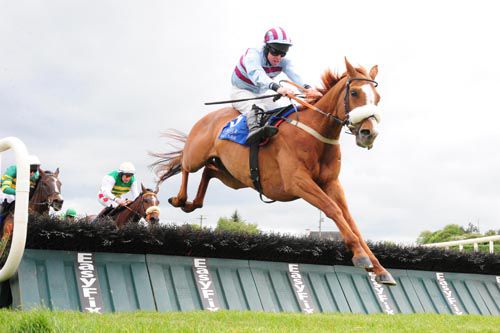 Space Ship and Andrew Lynch jump the last