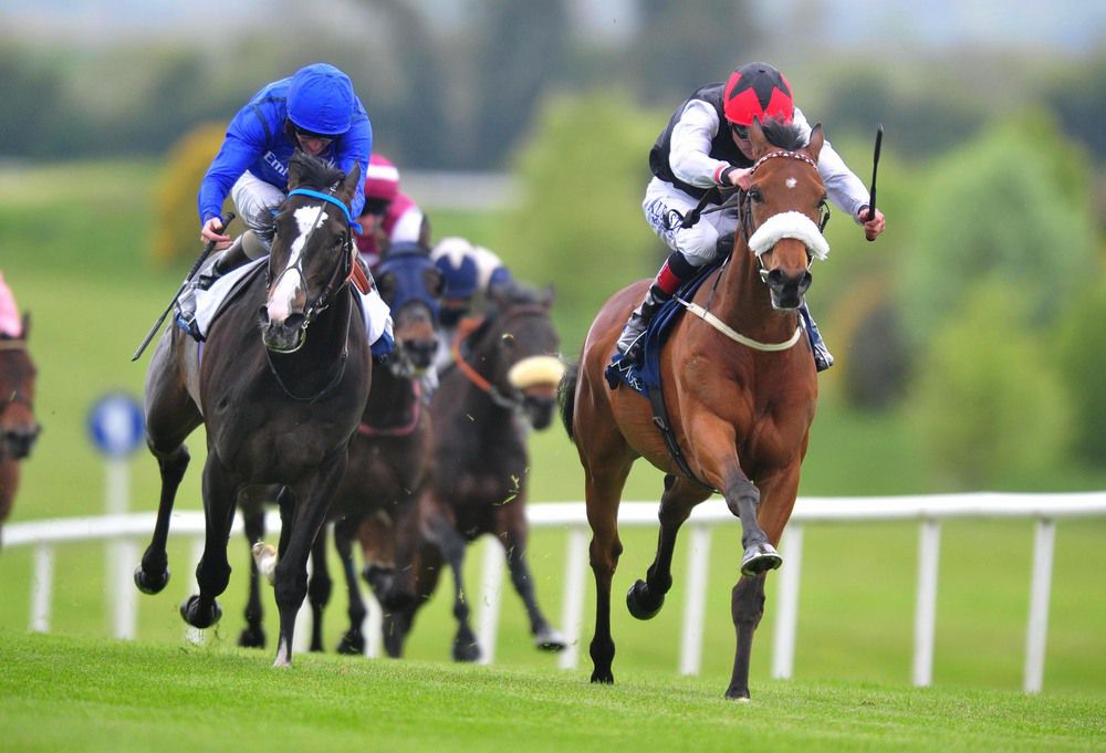 Forgotten Rules (noseband) is driven out by Pat Smullen to beat Answered