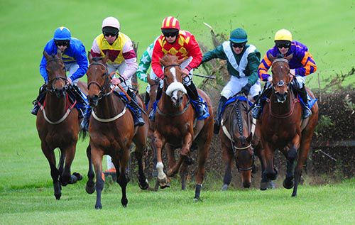 Ivy Glen makes a bad mistake at the sixth with eventual winner Best Value (blue) on the inside