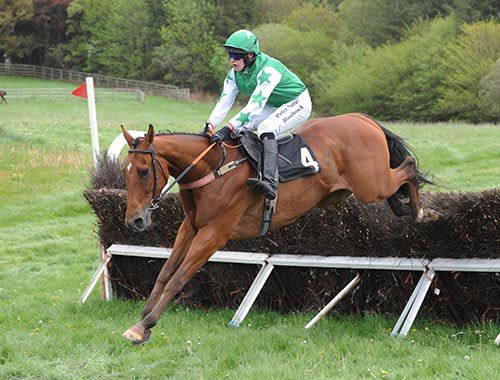 Shane Fitzgerald 