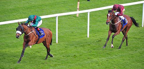 Kaleefa draws ahead of When In Doubt at Roscommon