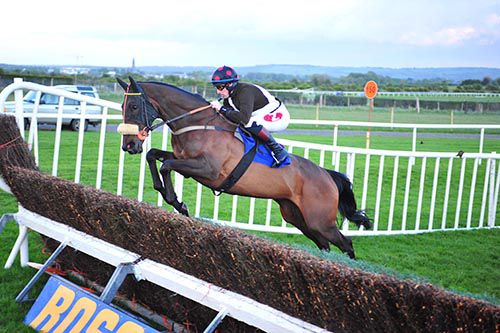The Housekeeper puts in a great leap at Roscommon