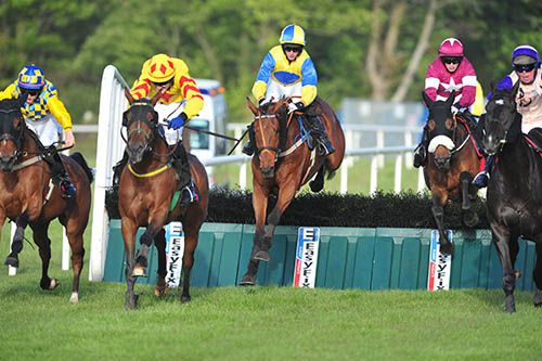 Conor Maxwell (blue and yellow) jumping, aboard Some Drama, coming through for victory