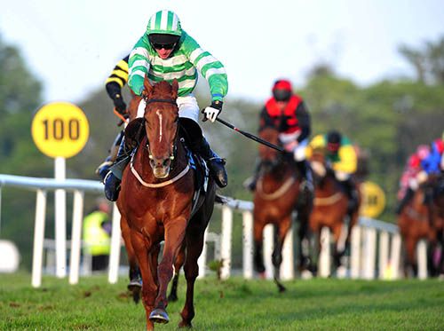 Mystic Princess and Derek Fox leave their Sligo rivals well in arrears