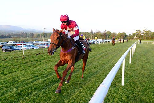 Balko Des Flos and Patrick Mullins