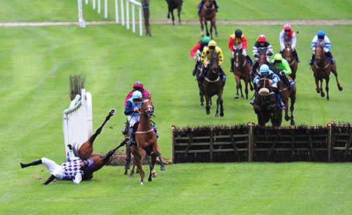 Full Cry and Andrew Lynch race on as Clounts Meadows and 'Slippers' Madden crash out (both thankfully okay)