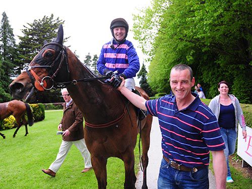 Damut, David Casey, and Joe Dullea