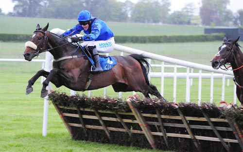 Key Account has a good 'cut' at the last under Brian Hayes