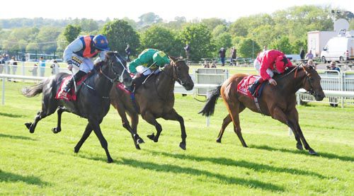 A Few Dollars More (red, Declan McDonogh) just prevails from Anonymous Lady (centre) and Ishebayorgrey