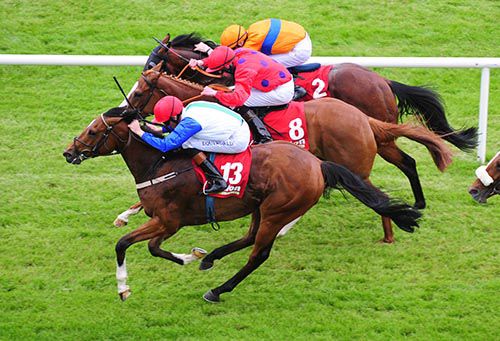 Duca Valentinois (near side) beats Cradle Mountain and Hot Sauce (centre)