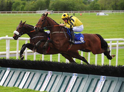 Esta Quercus soars over the last under Adrian Heskin, upsides Vercingetorix