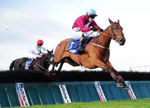 Wild Fern and Shane Butler