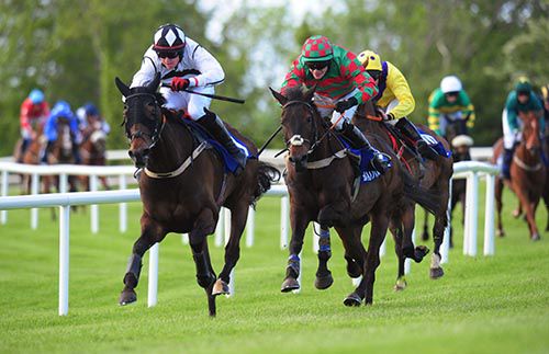 Royal Boru keeps up the gallop under Keith Donoghue, from Stay With It