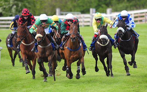The Gatechecker (Mark Walsh, green, gold, white cap) got the better of Too Many Notes (upsides)