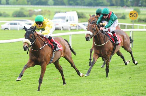 Roca Rojo and Declan McDonagh