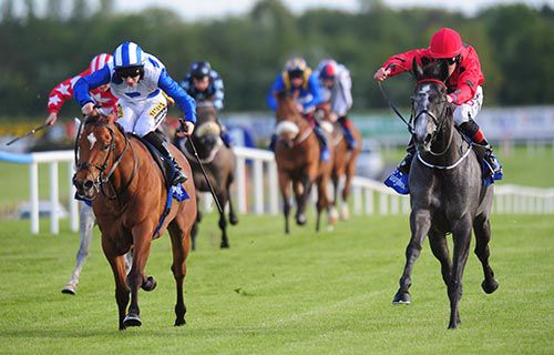 Enchanteresse (right) beats Chenega Bay