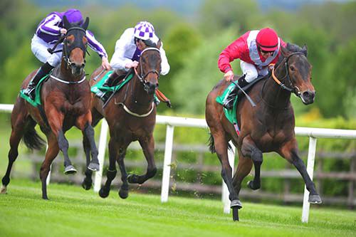Most Beautiful on her way to victory in Navan