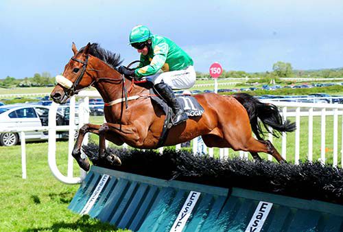 Do Try Dolly clears the last under Mikey Fogarty