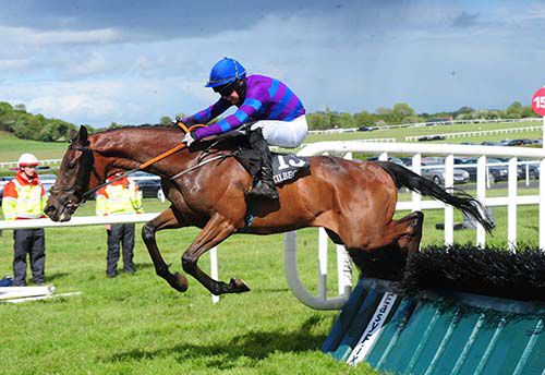 Mustadrik clears the last under Luke Dempsey