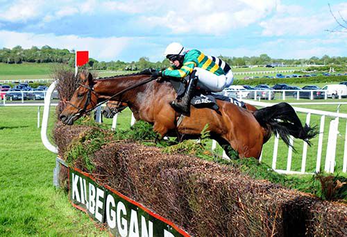 Down Under jumps the last with Corporate Box (hidden) on his inside