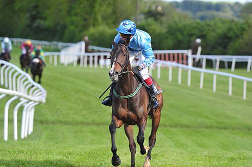 Runyon Rattler comes home an easy winner under Johnny Kinsella